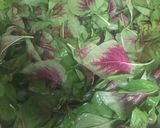 A picture of step 1 of Alkaline - Amaranth Greens (Callao).