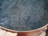 Puding lumut blue pea (bunga telang)