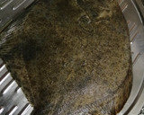 Foto del paso 1 de la receta: Rodaballo Anaranjao