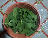 Foto del paso 2 de la receta: Ensalada de espinacas con tocino