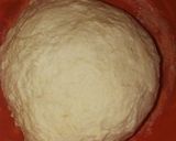 Fish rollmatakin girki1 hoto