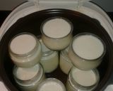 Foto del paso 2 de la receta: Yogur en la multicooker 12 en 1 Moulinex