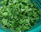 Hình bước làm 1 của món Rau má đậu xanh sữa đặc