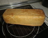 Foto del paso 3 de la receta: Pan rústico en molde
