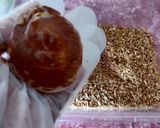 Foto langkah ke 8 dari resep Mochi Kelapa 🥥.