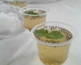 Foto langkah ke 3 dari resep Puding Jeniper Mint.