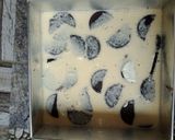 Foto langkah ke 5 dari resep Chocolate Puding Cake.