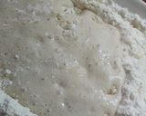 Foto del paso 4 de la receta: Medialunas de grasa fácil