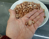 Foto del paso 2 de la receta: Alubias pintas