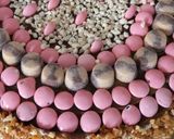 Foto del paso 10 de la receta: Torta de cumpleaños! Relleno y decoración súper fácil!
