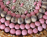 Foto del paso 10 de la receta: Torta de cumpleaños! Relleno y decoración súper fácil!