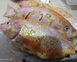 Foto langkah ke 1 dari resep Pecak Nila.