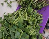 Foto del paso 2 de la receta: Salsa verde con verdolagas