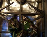 Foto del paso 2 de la receta: Papas blancas con rajas de poblano y granos de elote