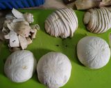 Foto del passaggio 1 della ricetta Pollo “alla crème” con funghi Portobello