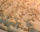 Foto del paso 6 de la receta: Coca de San Juan express