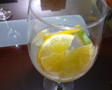 Foto del paso 1 de la receta: Bebida de vino tinto