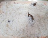 A picture of step 4 of Chicken biryani.