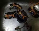 Foto langkah ke 5 dari resep Sup kepiting seger..
