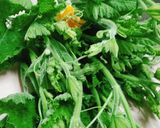 Hình bước làm 1 của món Đọt bí xào tỏi