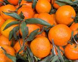 Une image de l'étape 1 de 🍊🍊Jus de 🥄clémentine🍹.