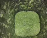 Foto del paso 4 de la receta: Aguachile