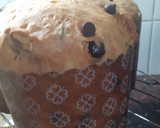 Foto del paso 6 de la receta: Pan dulce con chocolate y nueces