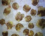 Foto langkah ke 3 dari resep Crispy Smashed Potatoes.