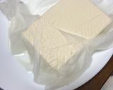 A picture of step 2 of TOFU  Hamburg.