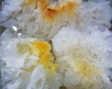 Foto langkah ke 2 dari resep White Fungus Soup / Sup jamur putih.