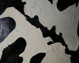 Foto del paso 5 de la receta: Pizza "MALVINAS ARGENTINAS"