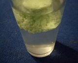 Foto langkah ke 3 dari resep Wedang Tape Ijo.