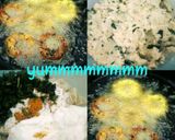 A picture of step 1 of Bread Medu Vadas.