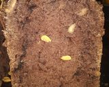 Foto del paso 1 de la receta: Budín de Chocolate -Con maní & chocolate 🥜🍫