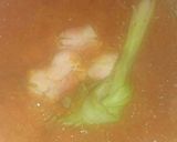 Foto langkah ke 1 dari resep Gulai Telur Ceplok.