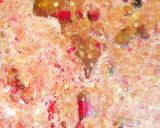 Foto langkah ke 1 dari resep Telur Balado.