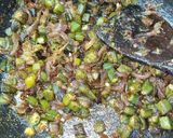 A picture of step 7 of Indian Onion Okra Fry.