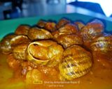 Foto del paso 7 de la receta: Caracoles en salsa