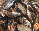 Foto del paso 1 de la receta: Mejillones a la marinera
