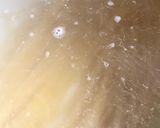 Foto del paso 2 de la receta: Pasta poblana