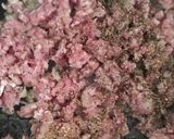 Húsos karfiolsteak recept fázis 1 fotója