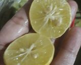 A picture of step 5 of Hareybharey sticks.