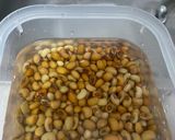 Foto langkah ke 1 dari resep Lentho!.