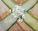 Foto del passaggio 6 della ricetta Fagottini di zucchini con feta, noci e basilico