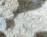 Foto del paso 1 de la receta: Galletas de avena y miel