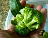 Foto del paso 1 de la receta: Rigatoni con brócoli (apta vegetarianos)