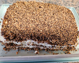 Foto del paso 9 de la receta: Postre semifrío de turrón de Alicante