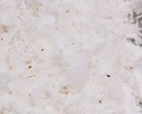 A picture of step 1 of Bánh da lợn.
