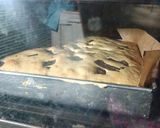 Foto langkah ke 5 dari resep Choco coffee cake.