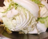 粉絲白菜魯(素食年菜)的食譜步驟1照片